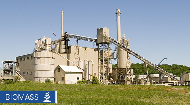 Altavista biomass power station