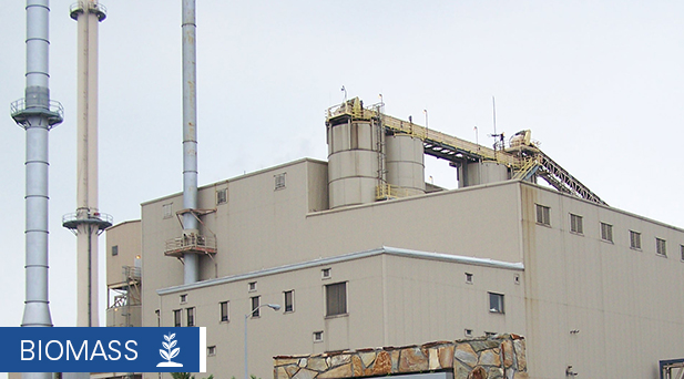 Hopewell biomass power station