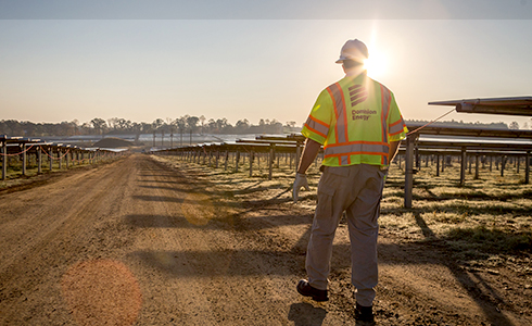 Employee walking near solar panels