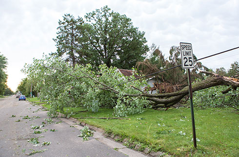 Stay away from downed power lines