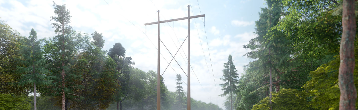 Power lines on a right of way surrounded by woods
