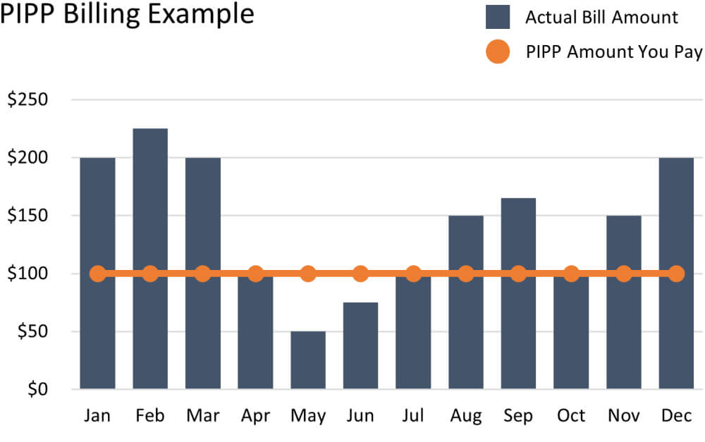 Percentage of Income Payment Program Billing Example