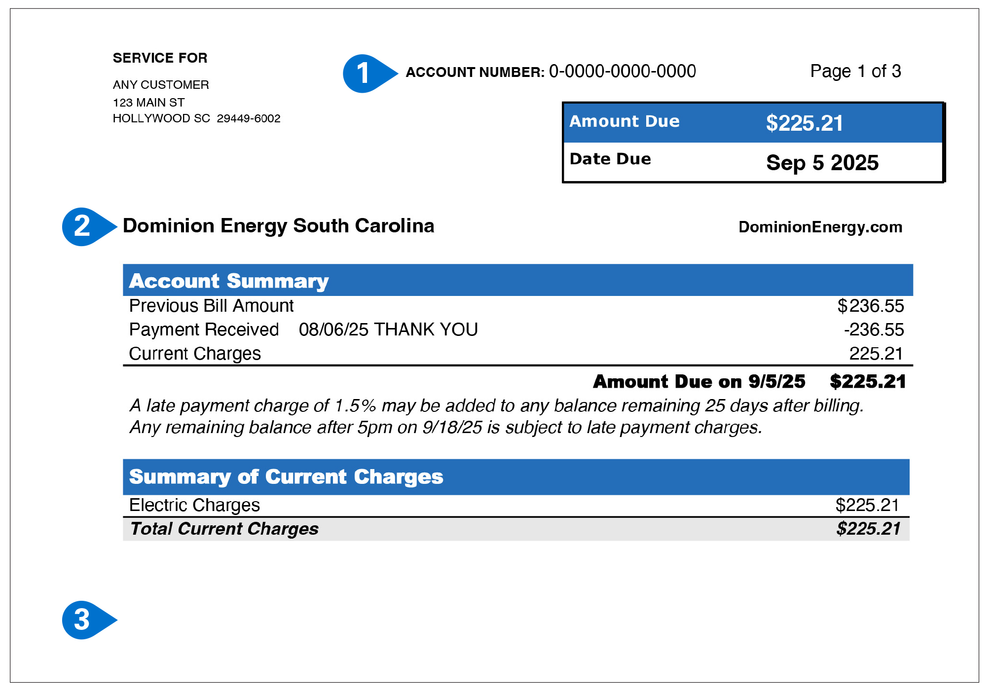 South Carolina Solar Bill Sample Items 1-3