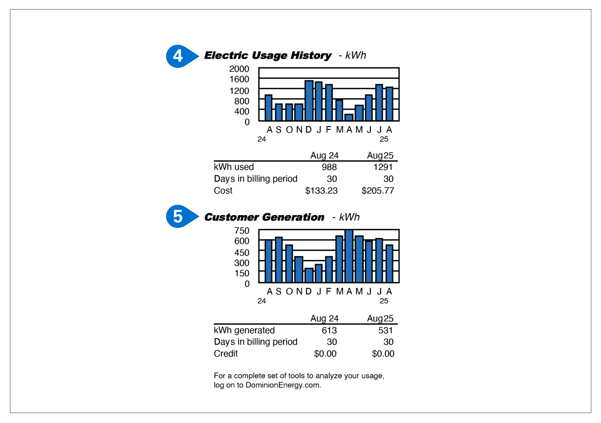 South Carolina Solar Bill Sample Items 4-5