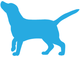 Pet icon