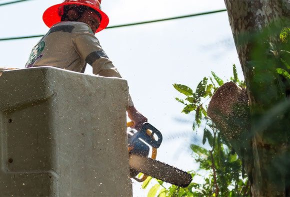 Lineman trimming trees