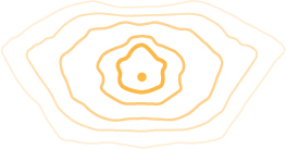 Medium Cutoff Area