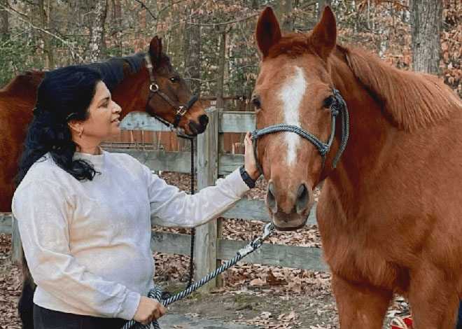 Volunteering with horses